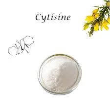 Cytisine Sephorine Nicotine Alternative Smoking Cessation Transdermal Patch 25mg of Over 30 Hours